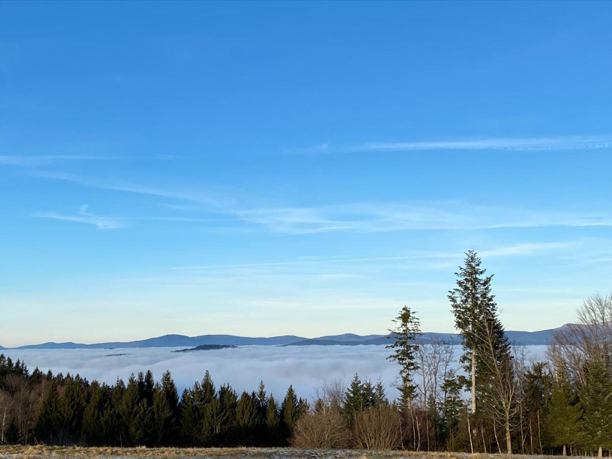 Uriges Top-Apartment Im Bayerischen Wald 3Br! +Netflix Schöfweg Zewnętrze zdjęcie